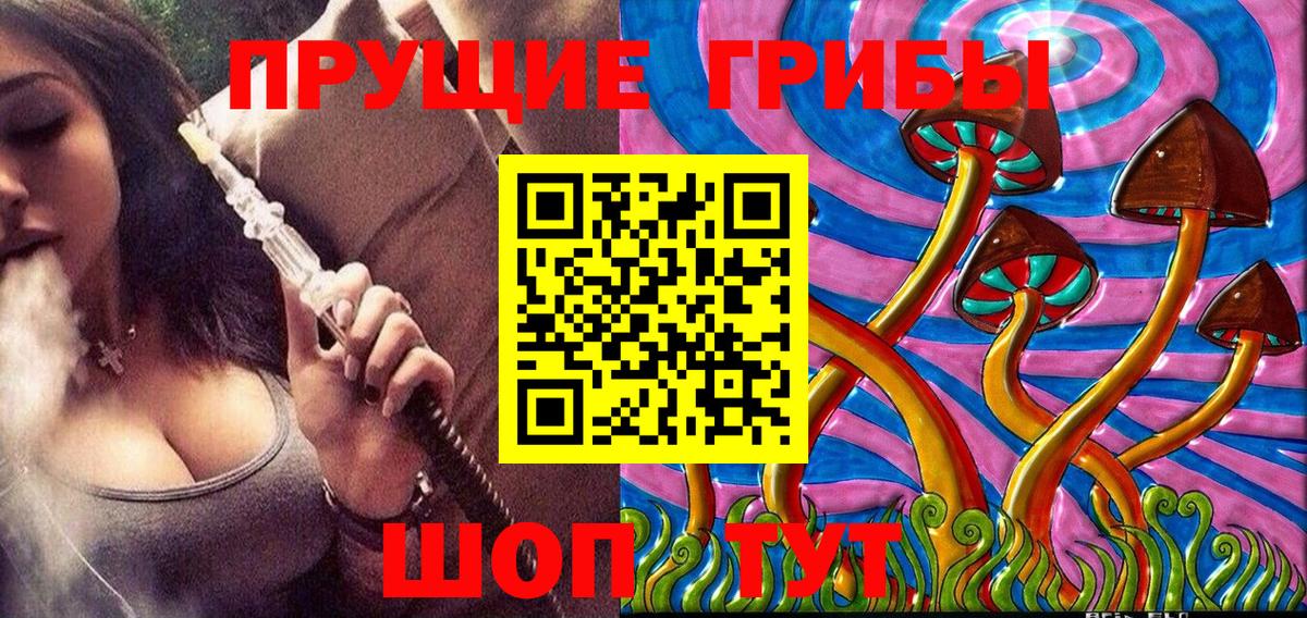 Псилоцибиновые грибы MAGIC MUSHROOMS Шатура